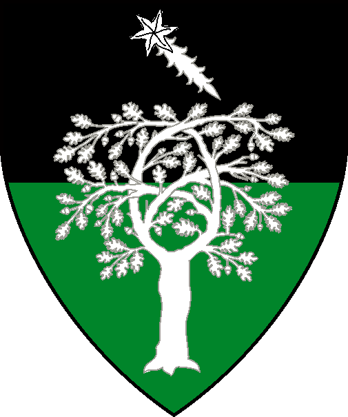 [Per fess sable and vert, a tree and in chief a comet bendwise argent]