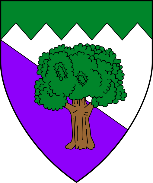 [Per bend argent and purpure, a tree proper and a chief indented vert]