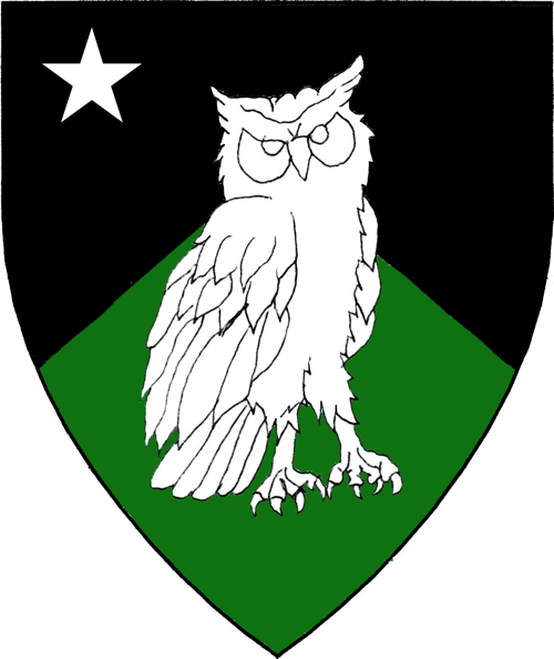 [Per chevron sable and vert, an owl contourny and in canton a mullet argent.]