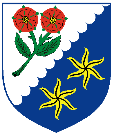 [Per bend sinister engrailed argent and azure, two roses proper springing from a single branch vert and two estoiles Or	  	  ]
