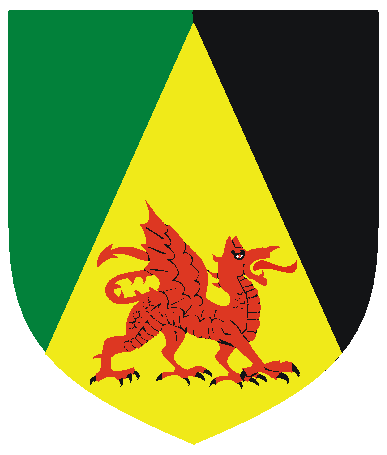 [Per pale vert and sable, on a pile inverted Or a dragon sejant to sinister gules.]